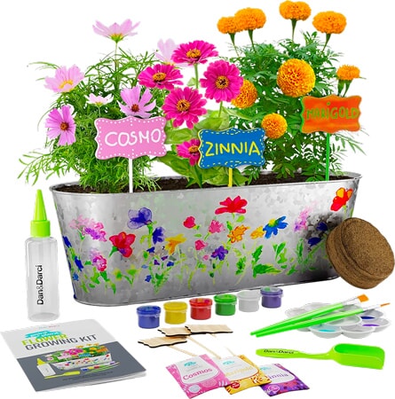 Paint & Plant Flower Growing Kit