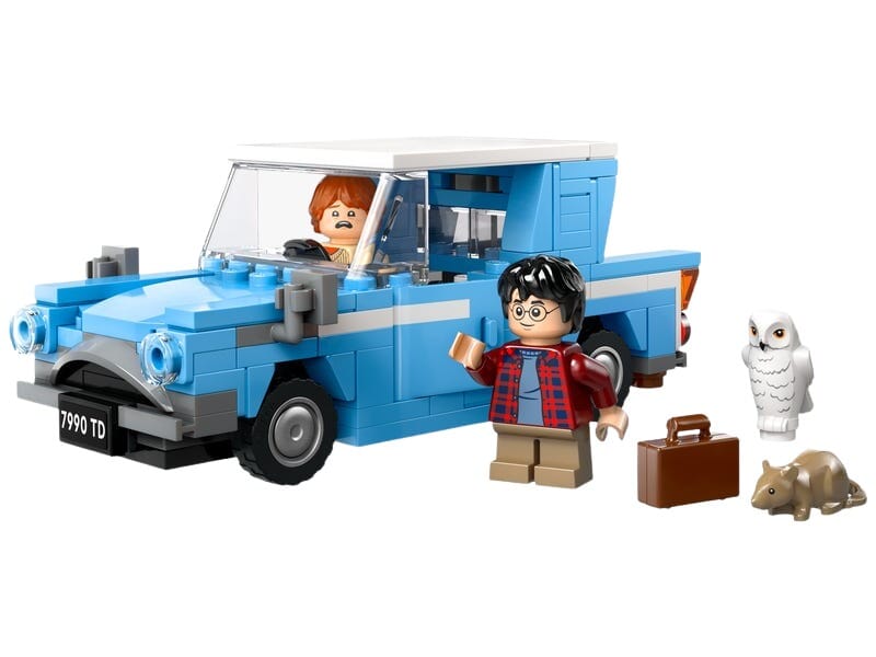 Set Auto Volante di Harry Potter