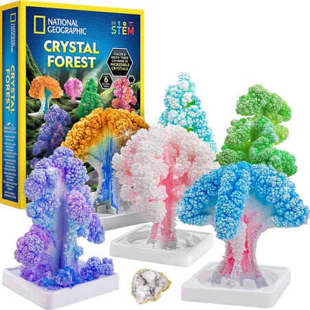 National Geographic Kristallzucht-Set mit Bäumen