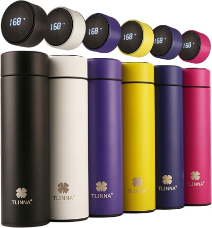 Smart Temperature Display Water Bottle