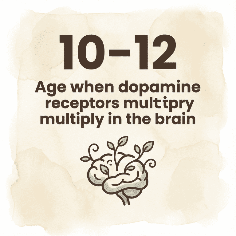 Stat showing ages 10-12 when dopamine receptors multiply in children's brains