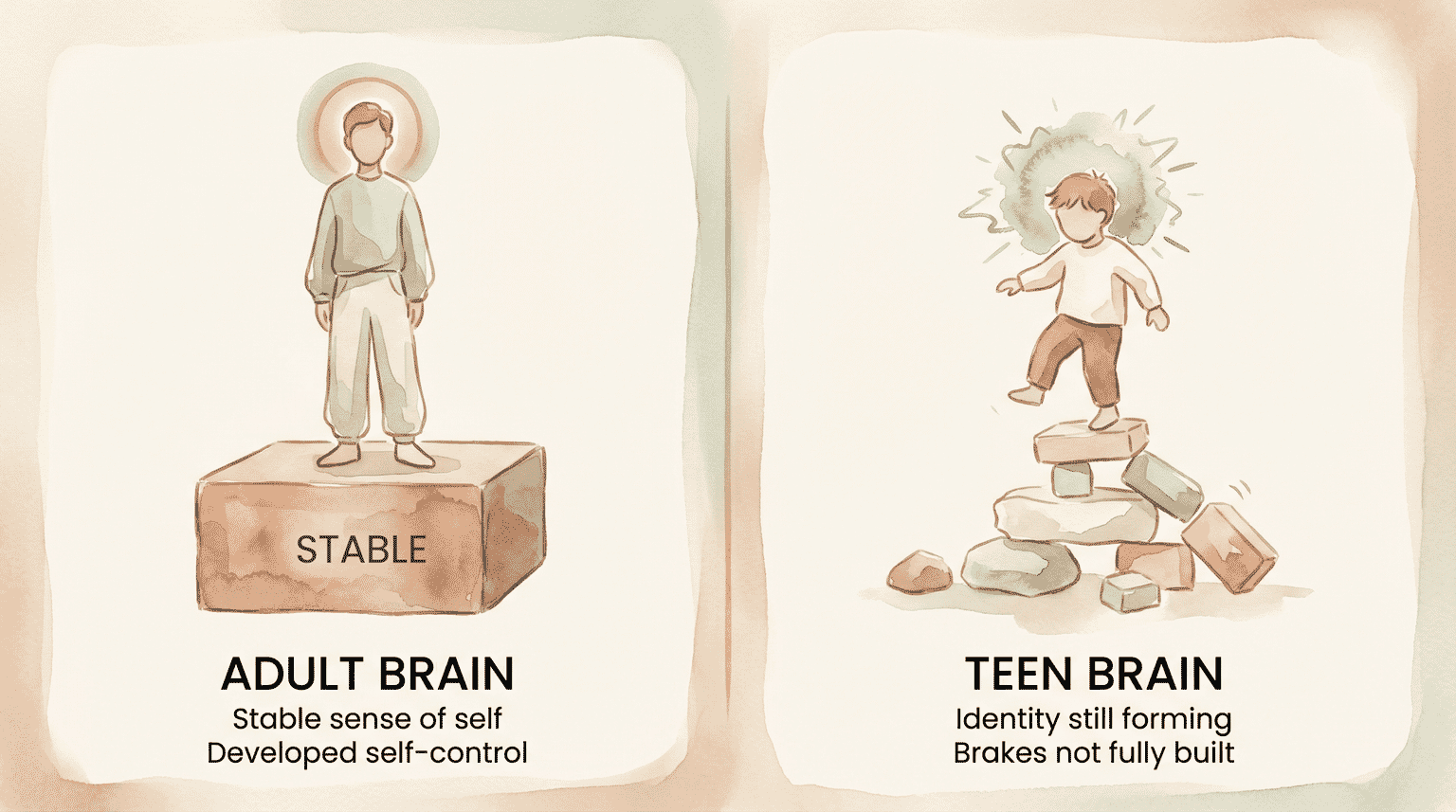 Comparison illustration showing adult brain with stable foundation versus teen brain still under construction