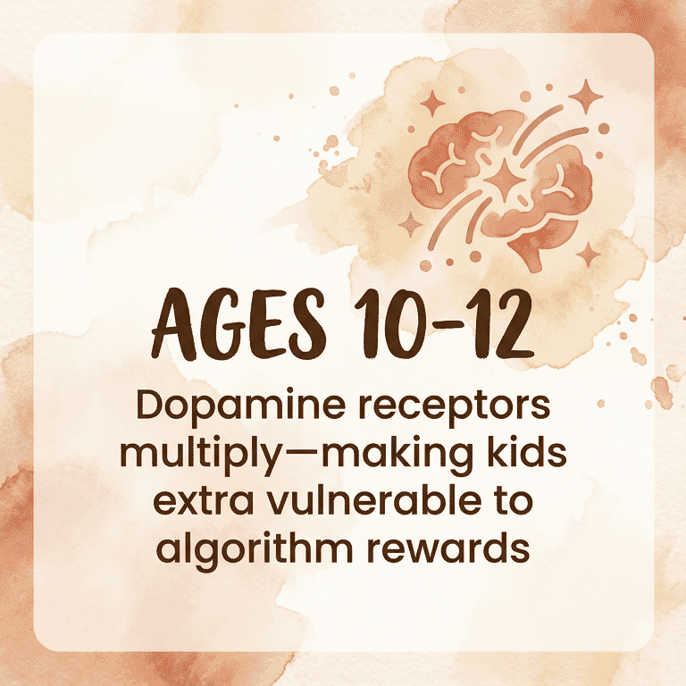 Ages 10-12 dopamine receptors multiply making kids vulnerable to algorithm rewards