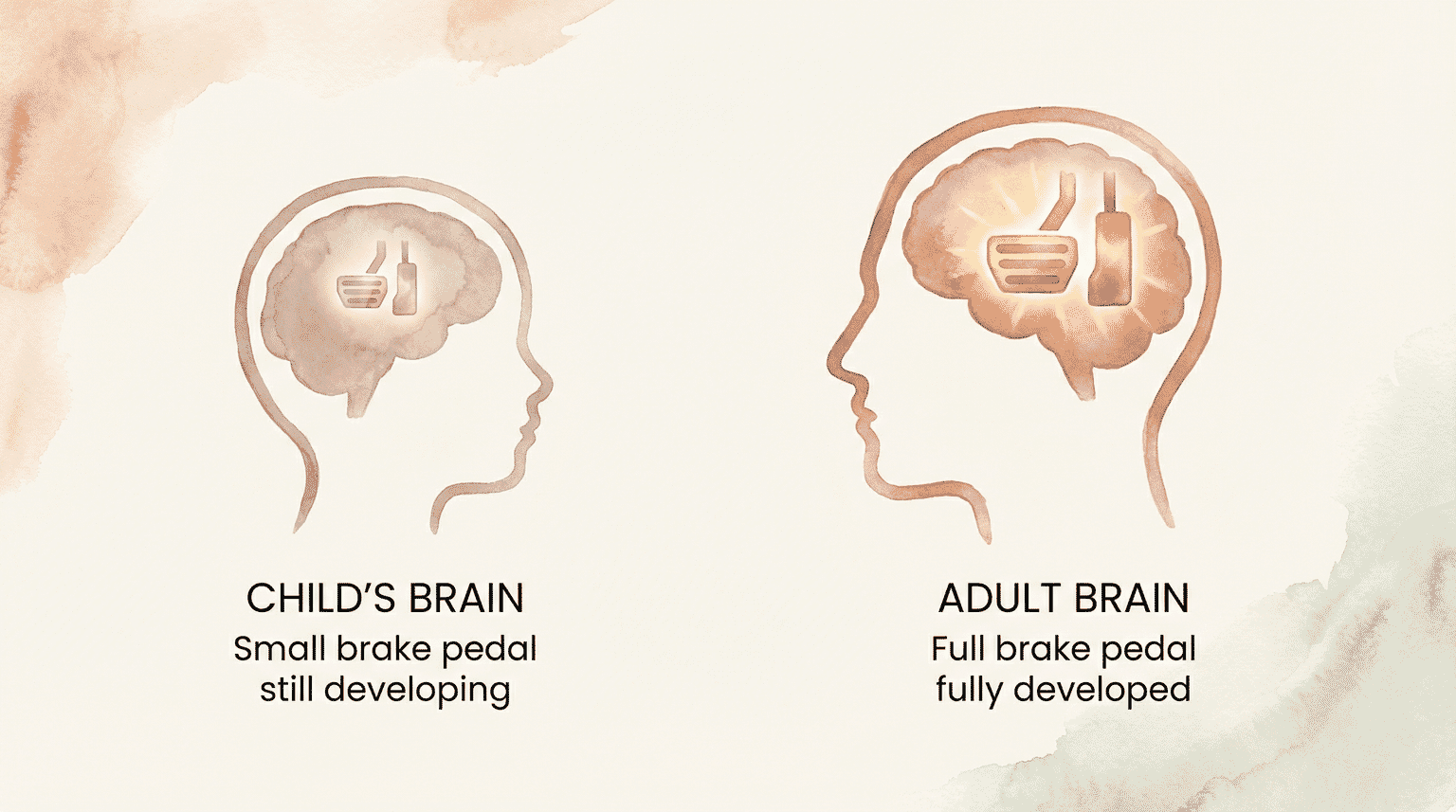 Comparison showing child brain with small developing brake pedal versus adult brain with fully developed impulse control