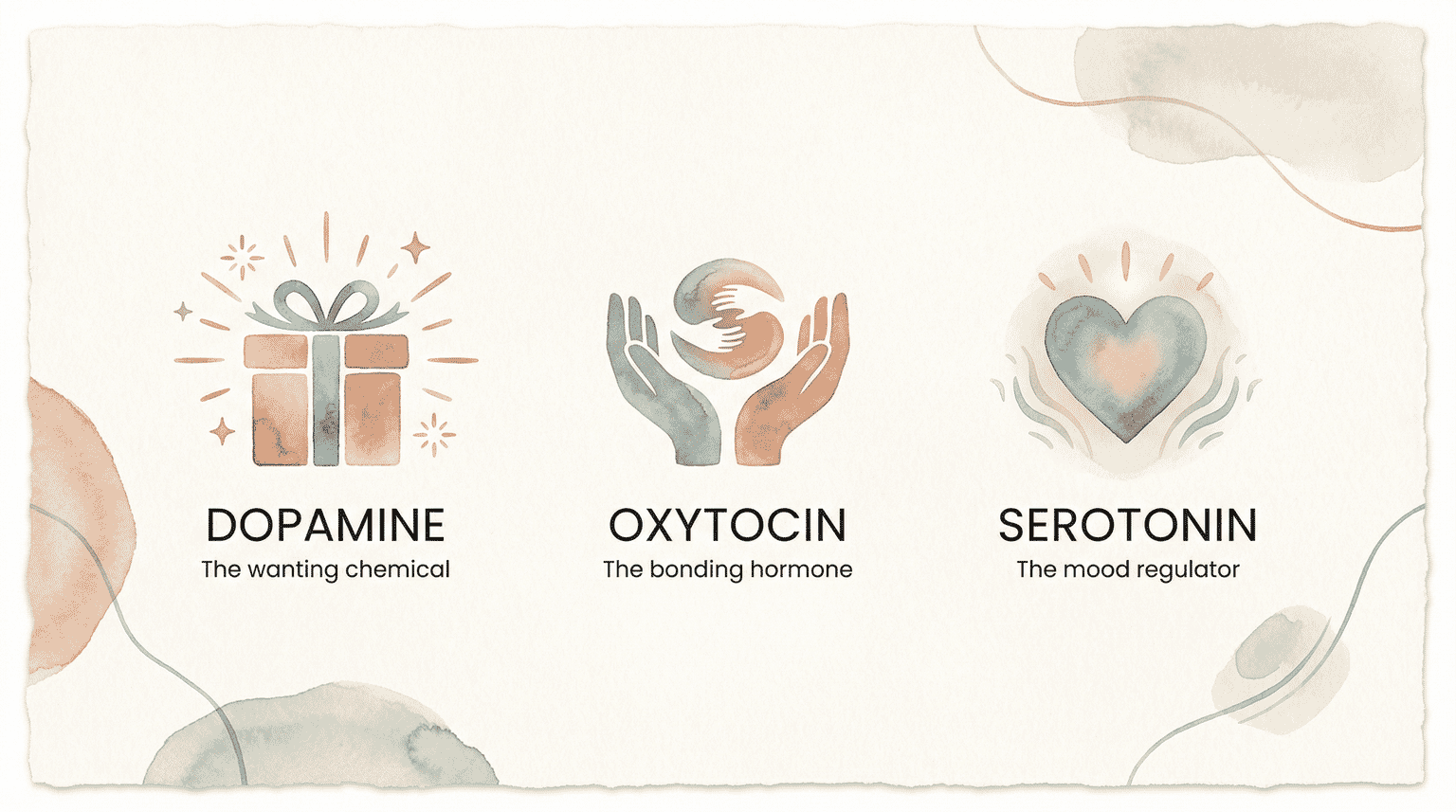 Infographic showing three brain chemicals involved in gift-giving: dopamine for wanting, oxytocin for bonding, serotonin for mood