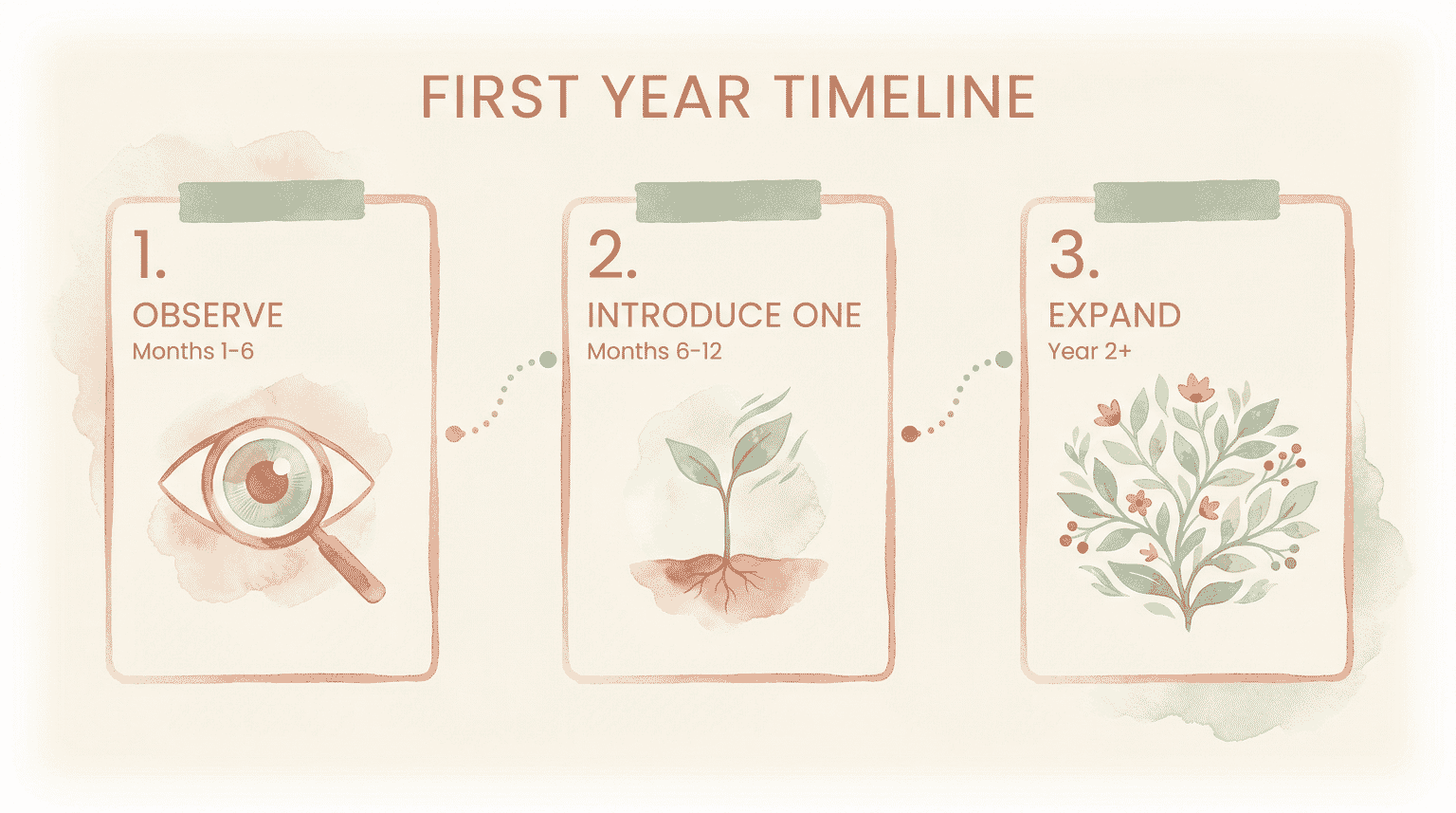 Process flow showing three phases of first year blended family timeline from observe to introduce to expand