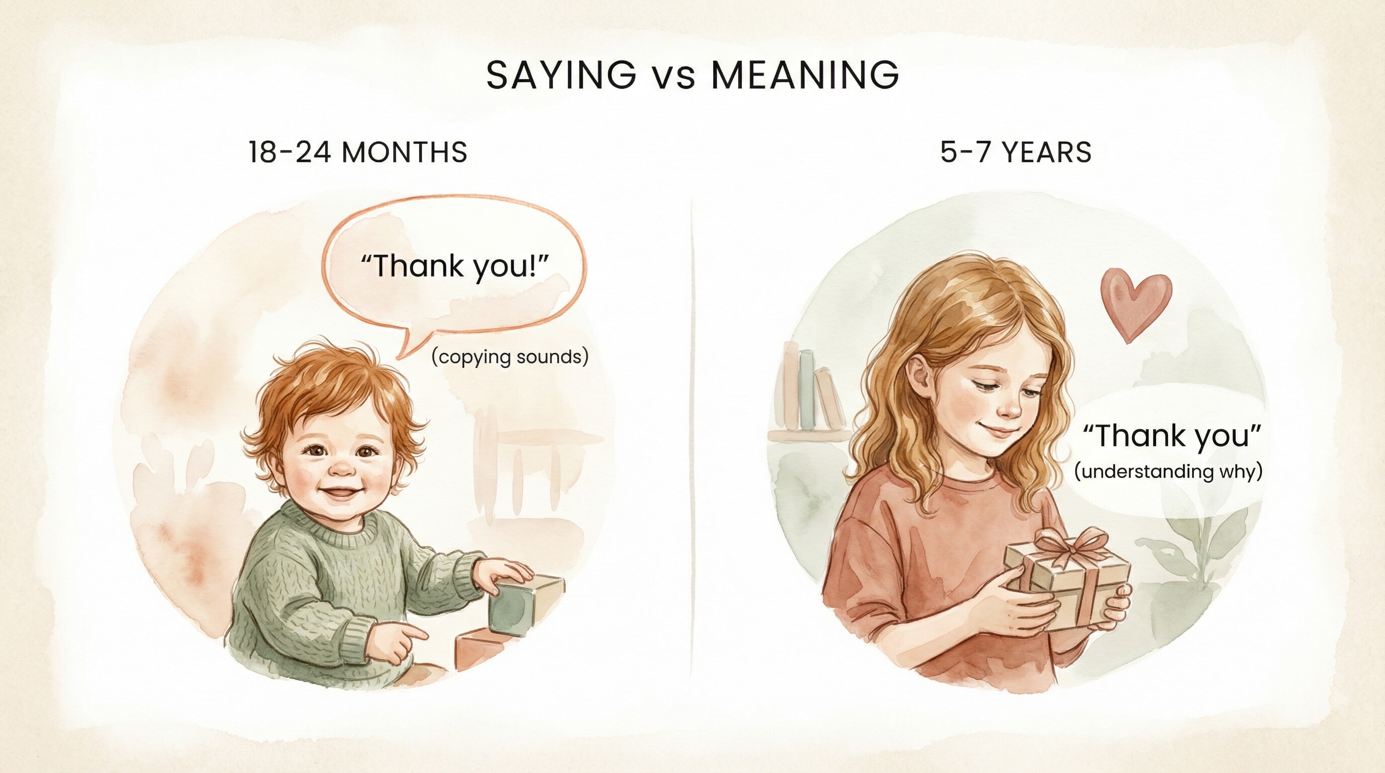 Comparison chart showing toddlers copy sounds at 18-24 months while 5-7 year olds understand why we say thank you