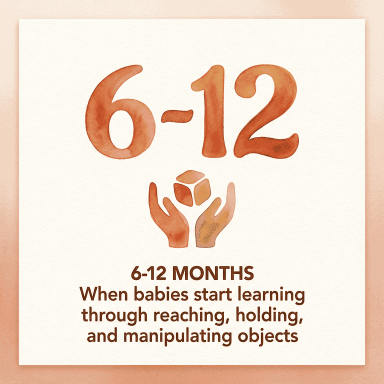Stat showing 6-12 months when babies start learning through reaching and manipulating objects