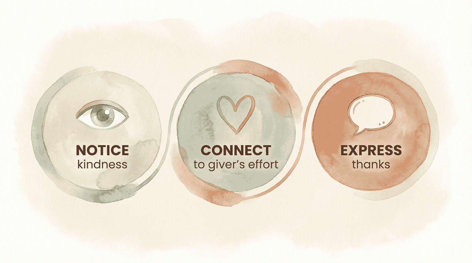 Three connected circles showing gratitude development stages: notice kindness, connect to giver's effort, express thanks